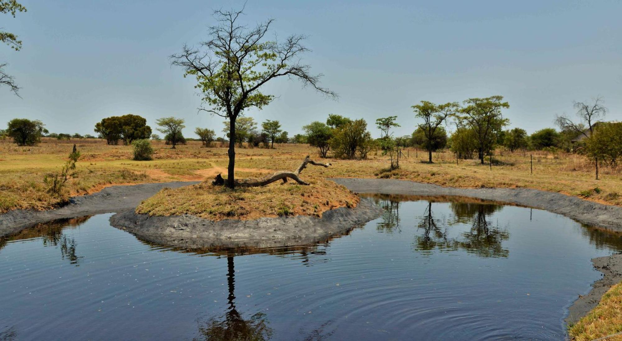 Willa Safari Plains Mabula Game Reserve Zewnętrze zdjęcie