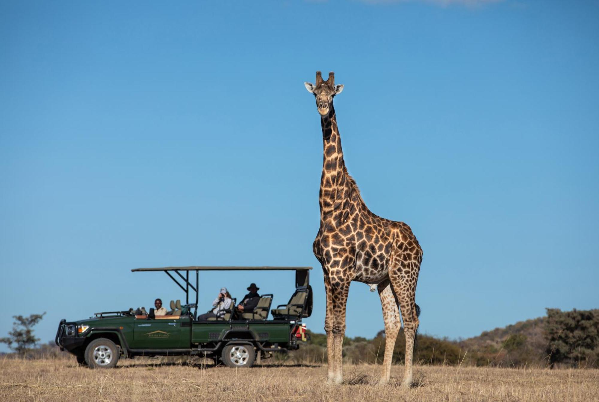 Willa Safari Plains Mabula Game Reserve Zewnętrze zdjęcie