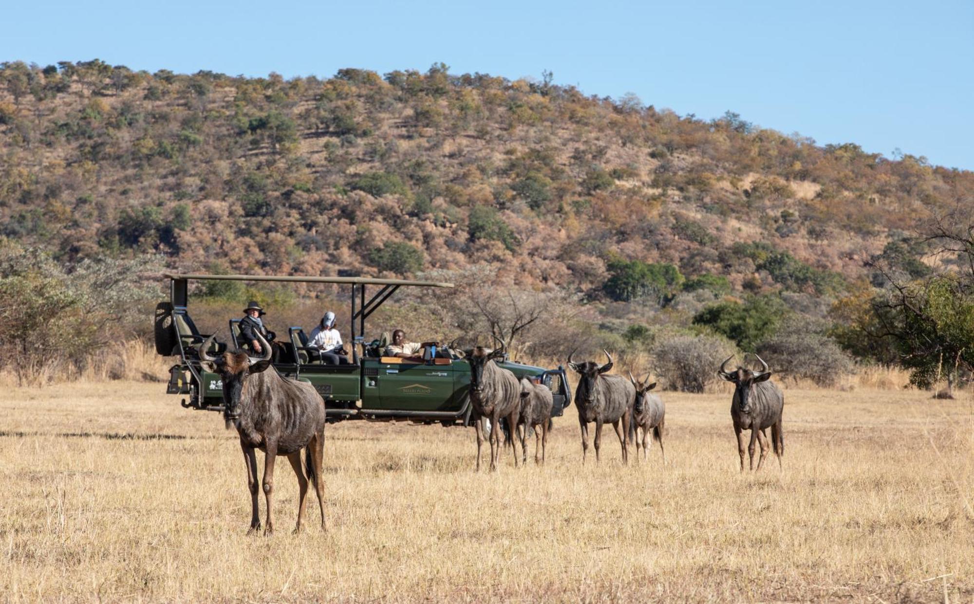 Willa Safari Plains Mabula Game Reserve Zewnętrze zdjęcie
