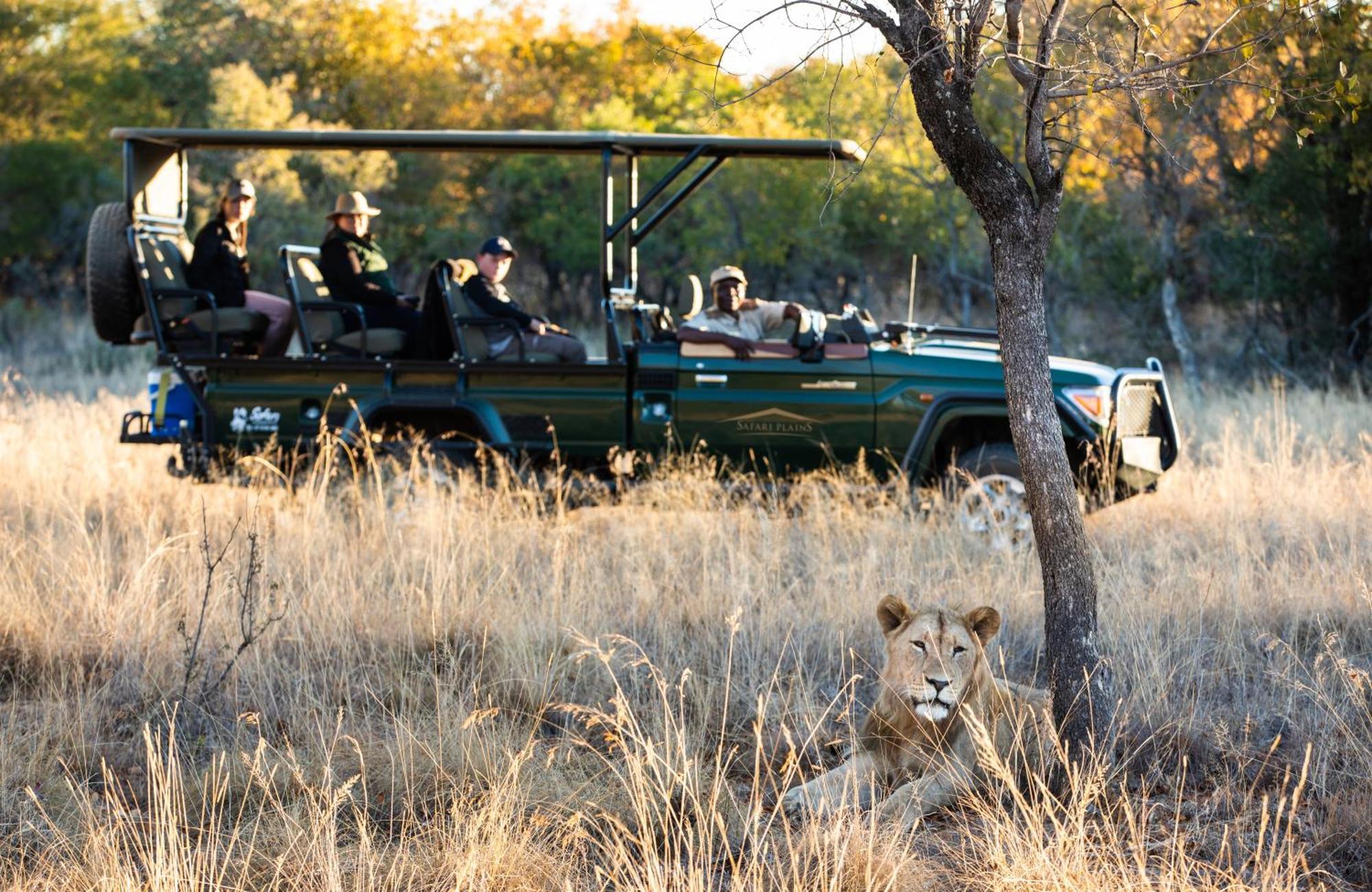 Willa Safari Plains Mabula Game Reserve Zewnętrze zdjęcie