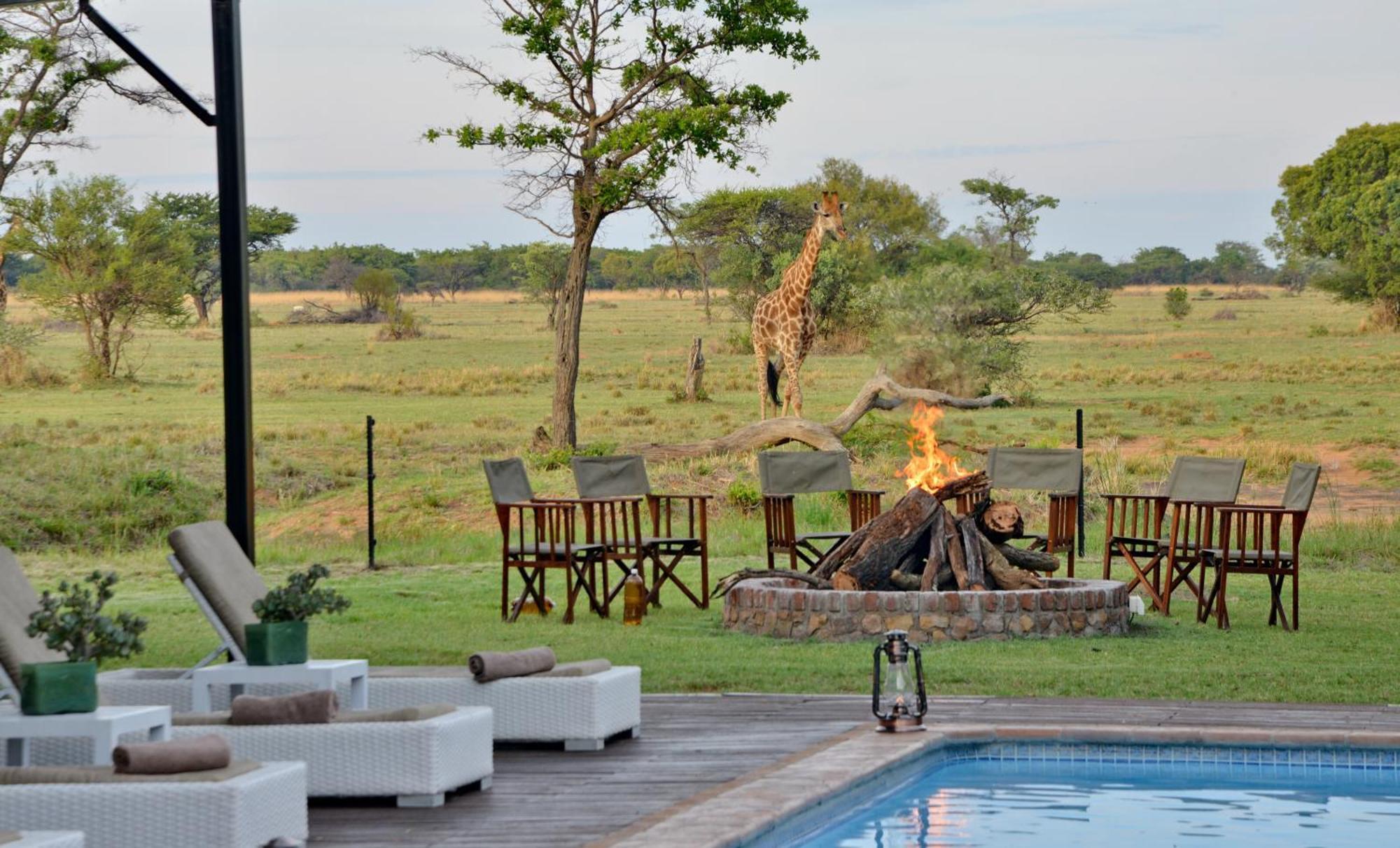 Willa Safari Plains Mabula Game Reserve Zewnętrze zdjęcie